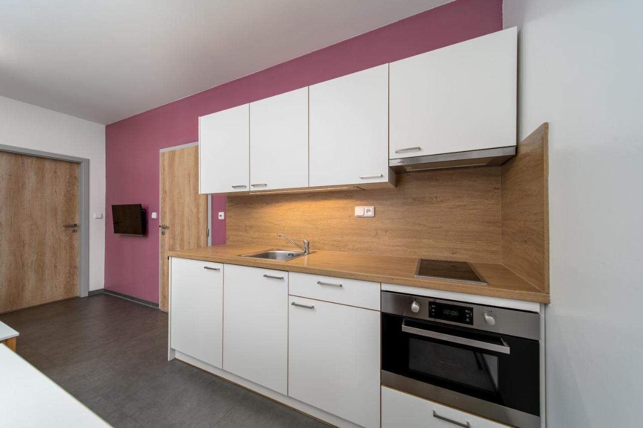 Pension Jansky Potok Ii. Janské Lázně Extérieur photo